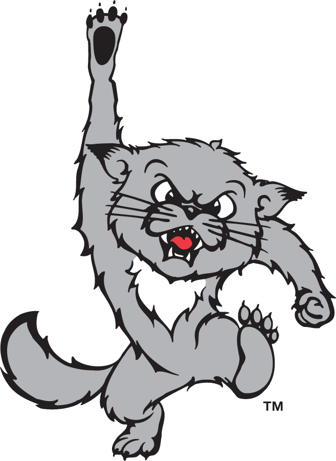 Cincinnati Bearcats 1995-2005 Secondary Logo diy iron on heat transfer